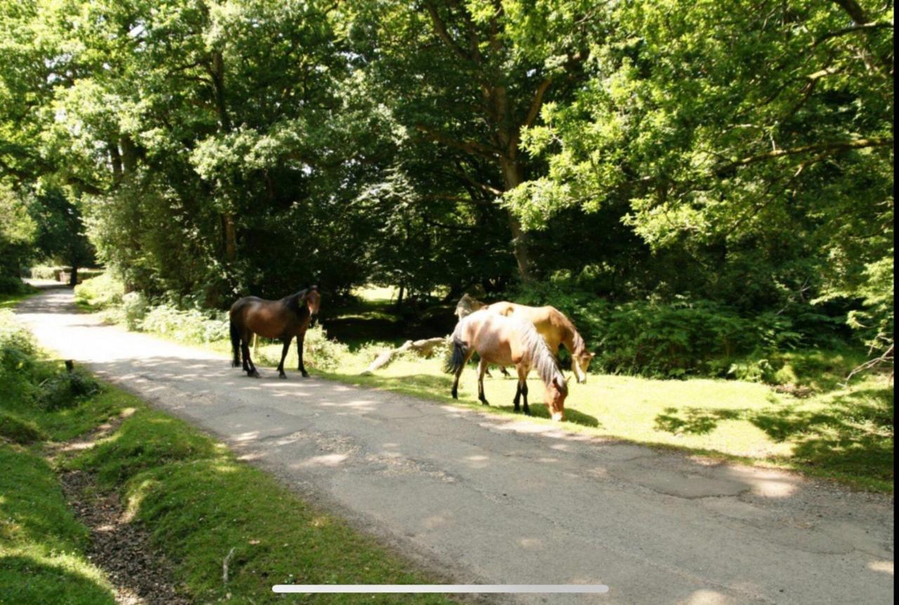 Holbury B&B Fawley  Zewnętrze zdjęcie